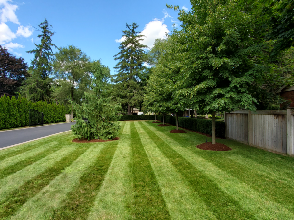Striped lawn maintenance